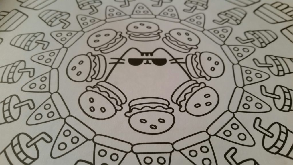 20161125_134851_resized